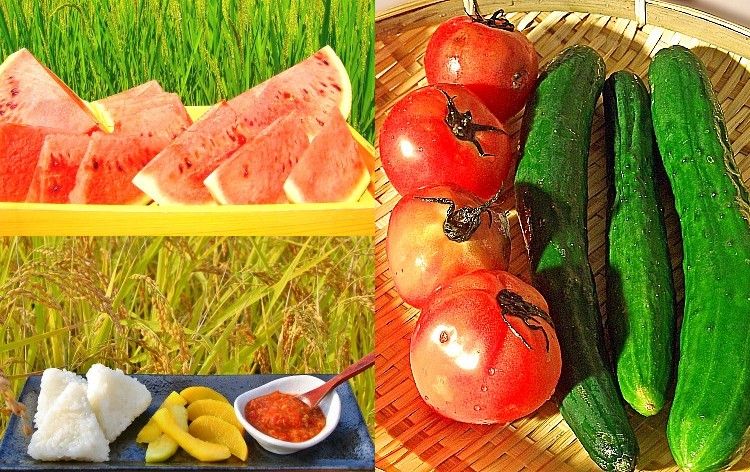 八色スイカ食べ放題＆夏野菜収穫体験＆米農家の振る舞い（イメージ）
