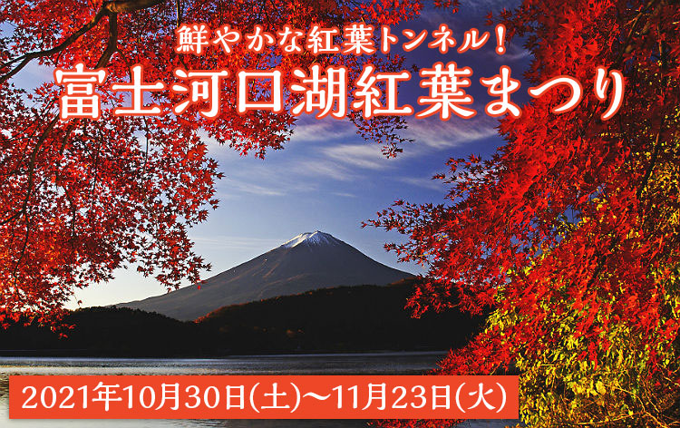 河口湖もみじ回廊（イメージ）