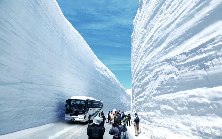 新宿[都庁]発】迫力満点！絶景の立山黒部アルペンルート「雪の大谷ウォーク」と世界遺産・白川郷＆飛騨高山２日間 | 格安ベストワンバスツアー