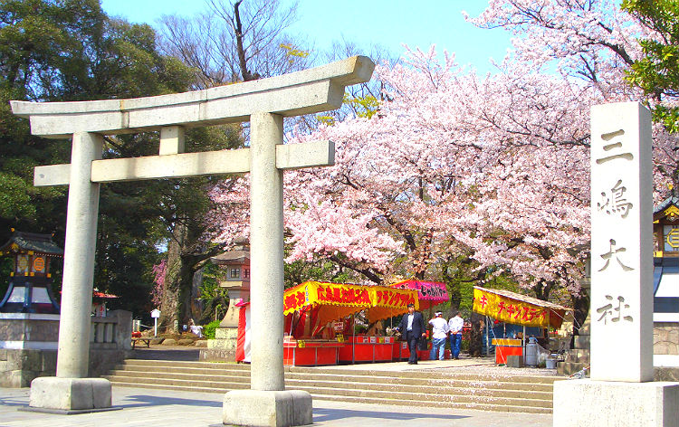 桜姫♪さん、富士の輝　追加費用
