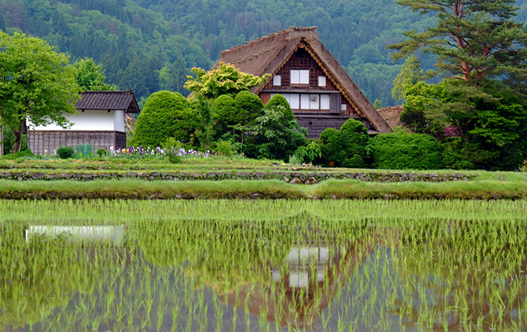 白川郷・合掌造り（イメージ）写真提供 岐阜県白川村役場