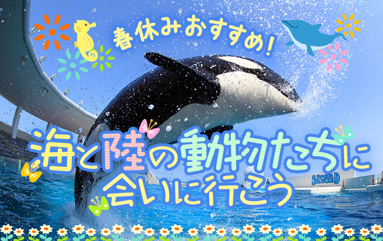 横浜発 春休みスペシャル 房総2大テーマパークを満喫 海の世界との出会い 鴨川シーワールド 癒しのふれあい王国 マザー牧場 格安ベストワンバスツアー