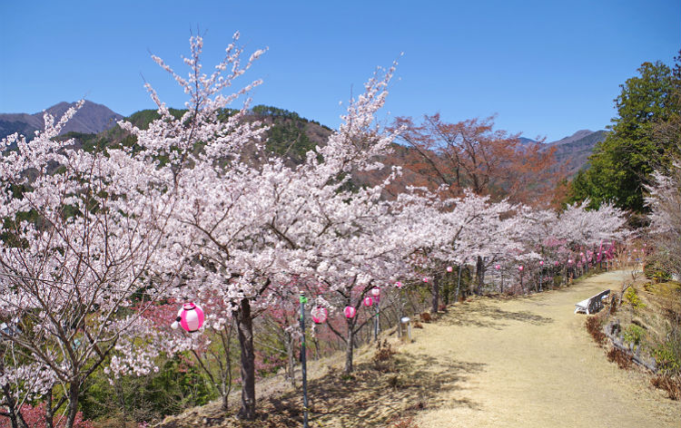 お伊勢山の五福参り（イメージ）