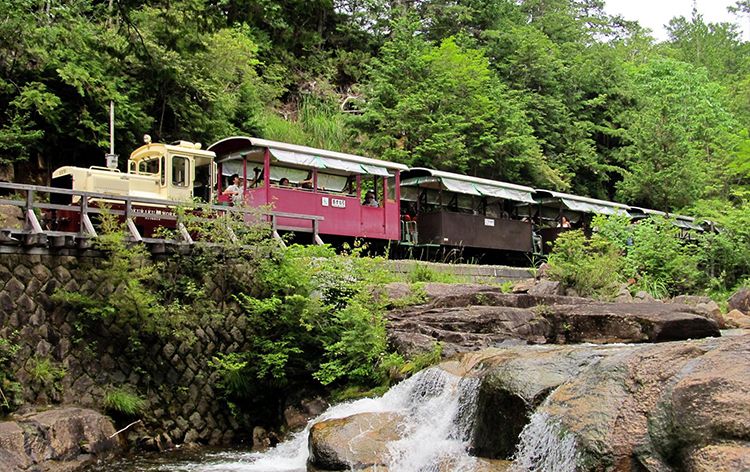 赤沢森林鉄道（イメージ）