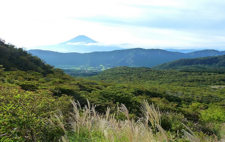 大涌谷からの富士山（イメージ）