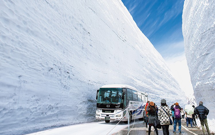 立山黒部アルペンルート・雪の大谷（イメージ）