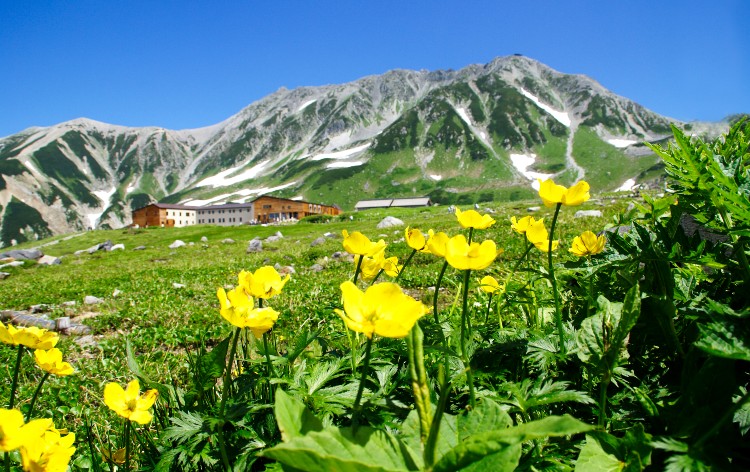 立山黒部アルペンルート　写真提供：立山黒部アルペンルート（イメージ）