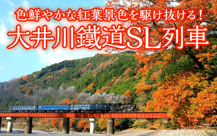 大井川鐵道SL列車（イメージ）