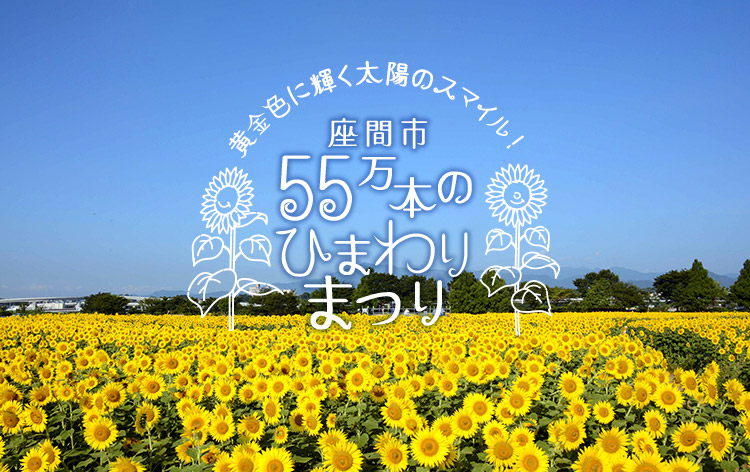 【新宿発】＜感動の4日間限定＞太陽に負けない圧巻の大輪「座間55万本のひまわりまつり」と箱根海賊船クルーズ＆熟成肉のローストビーフランチ