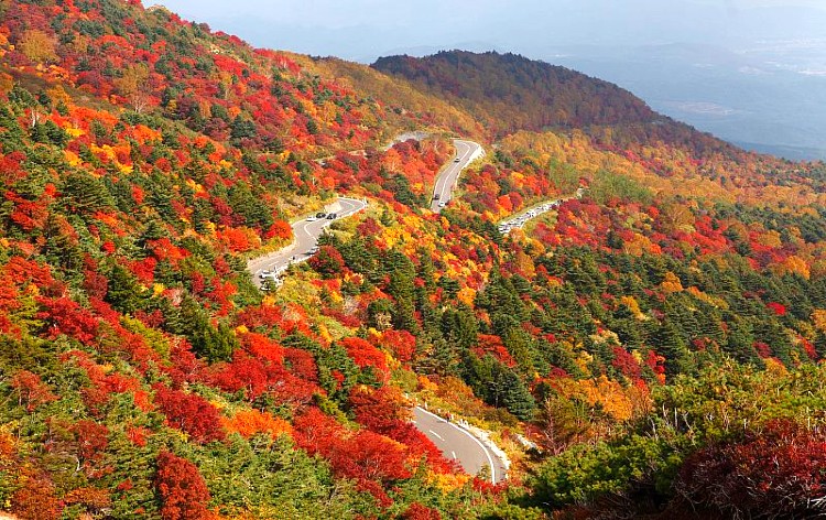 研究学園・土浦発】福島の紅葉！磐梯吾妻スカイライン☆絶景ドライブ＆大パノラマの安達太良山ロープウェイ | 格安ベストワンバスツアー