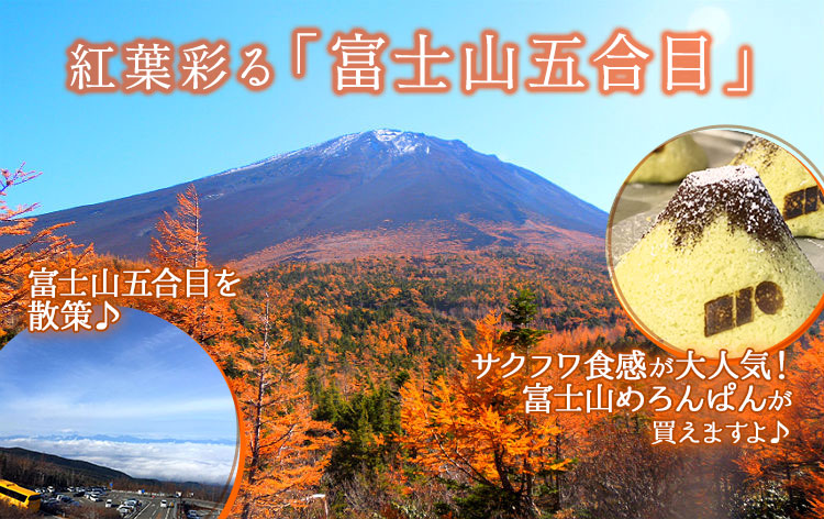 富士山五合目（イメージ）