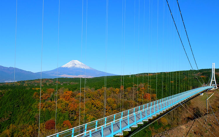 日本最長 富士を望む大吊橋 三島スカイウォーク（秋季／イメージ）