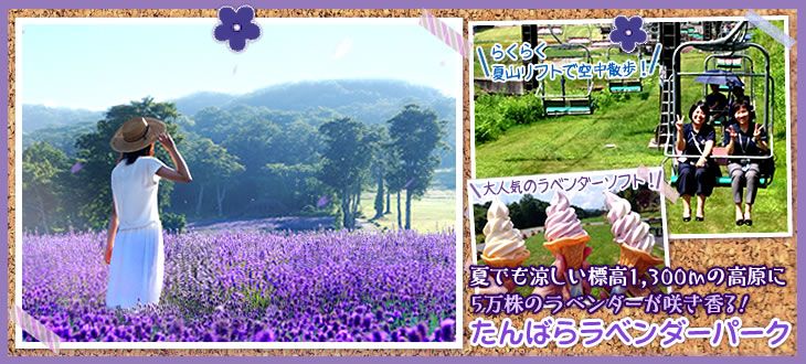 たんばらラベンダーパーク（イメージ）