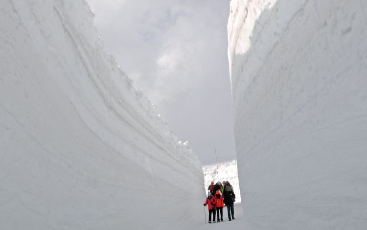 雪の回廊(イメージ)