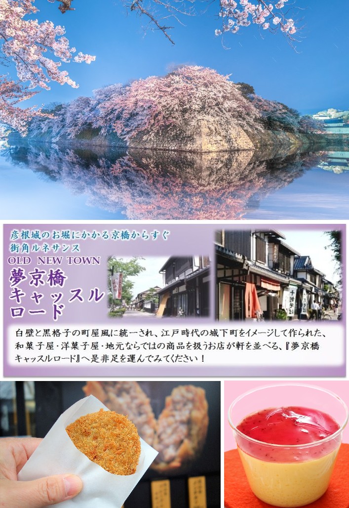 彦根城と桜（イメージ）写真提供：（公社）びわこビジターズビューロー