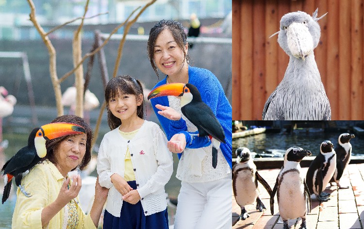 掛川花鳥園（イメージ）