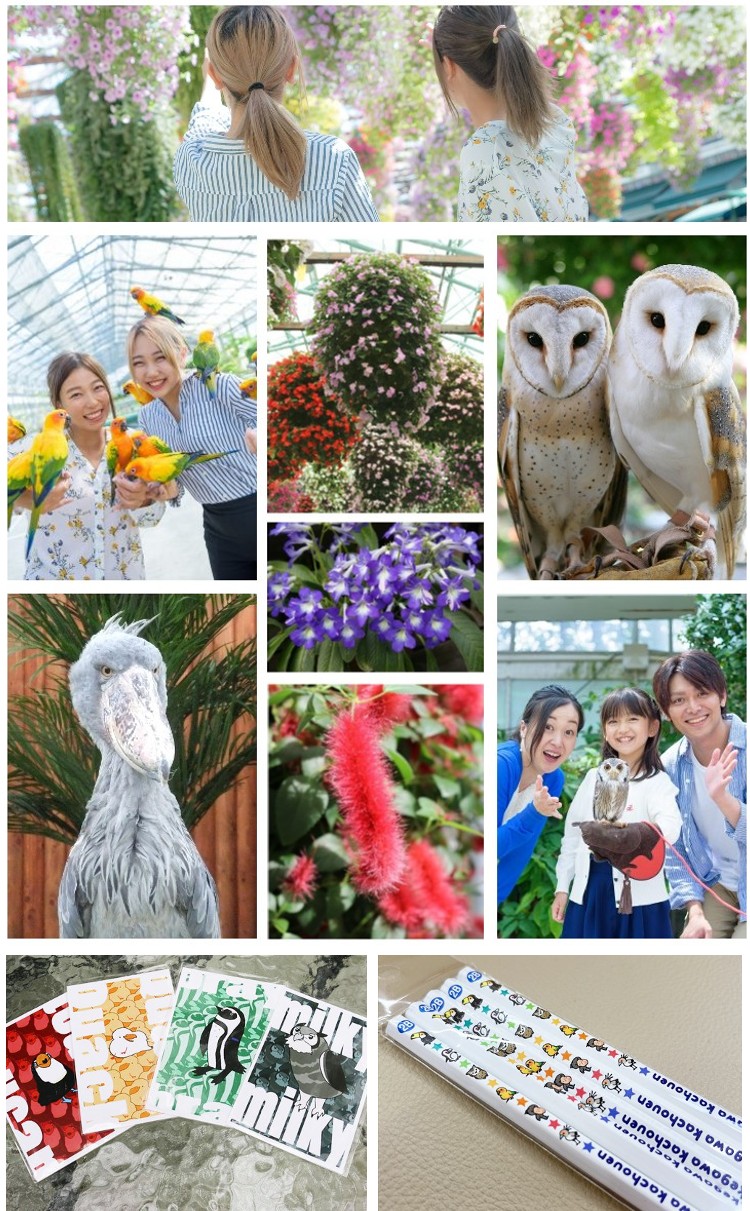 掛川花鳥園（イメージ）