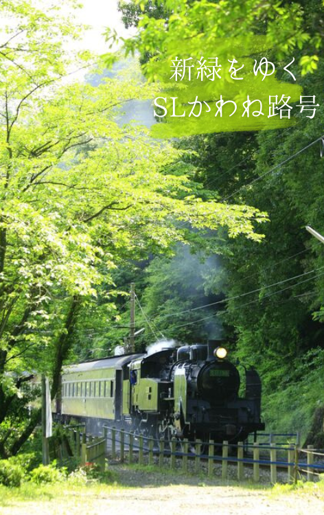 写真提供:大井川鐵道（イメージ）