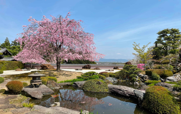 正法寺 (イメージ) 画像提供：正法寺