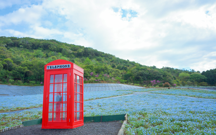 志摩市観光農園 (イメージ) 「写真提供：三重フォトギャラリー」