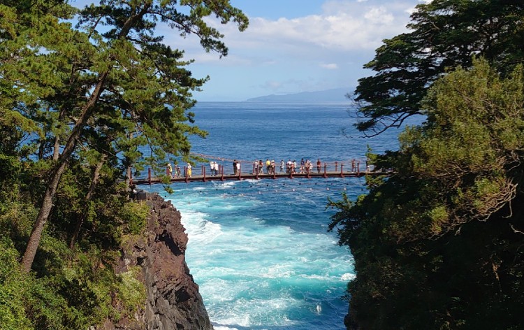 伊豆絶景フォトスポット巡り 堂ヶ島 門脇吊橋 大室山 富士山を体感 駿河湾クルージングといちご狩り食べ放題２日間 His 中部発