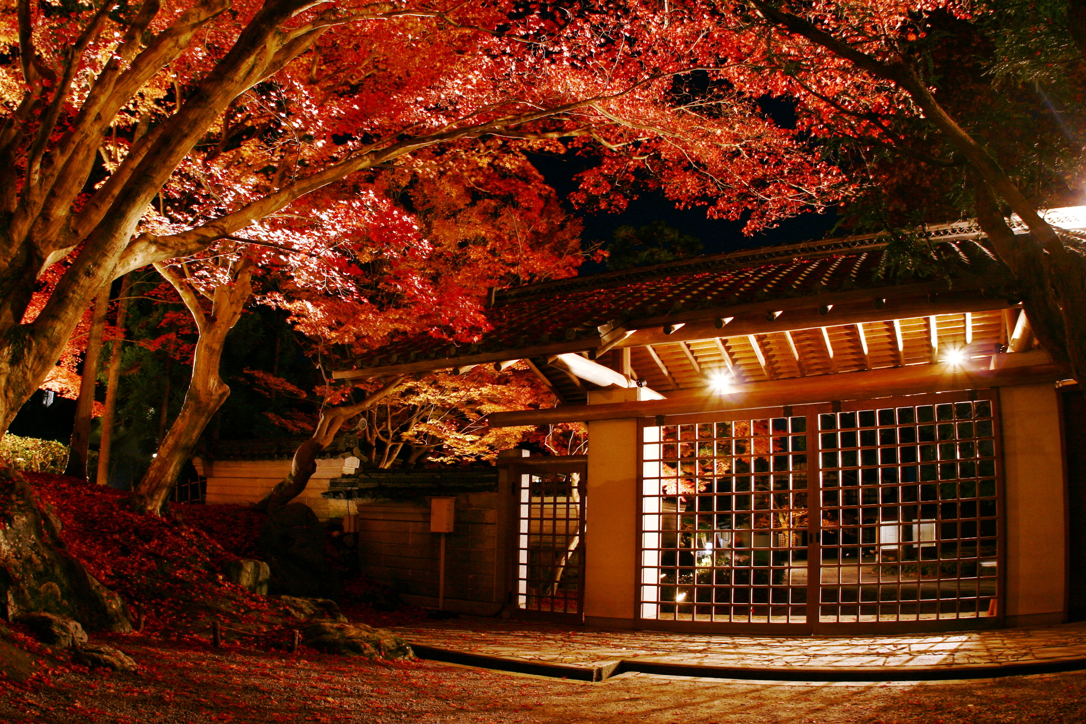 京都フリータイムと国宝御本殿と約350本の紅葉が織りなす絶景 北野天満宮 史跡 御土居 おどい のもみじ苑 の紅葉ライトアップと和楽膳の夕食 格安ベストワンバスツアー