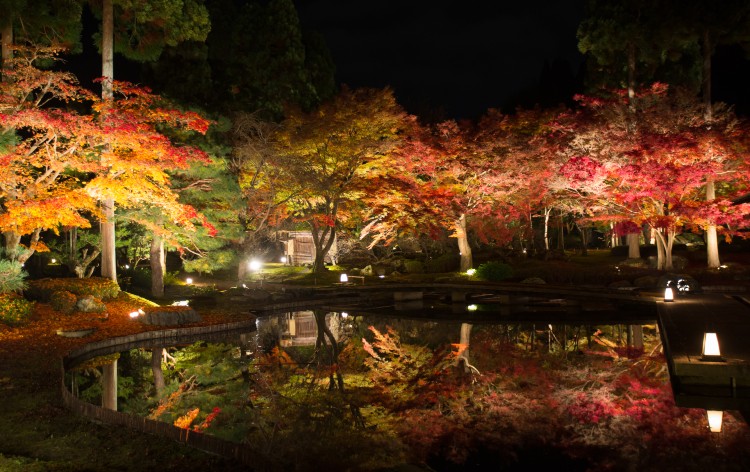 しょうざんリゾート京都北庭園の紅葉（イメージ）※例年の見ごろ：11月中旬～11月下旬