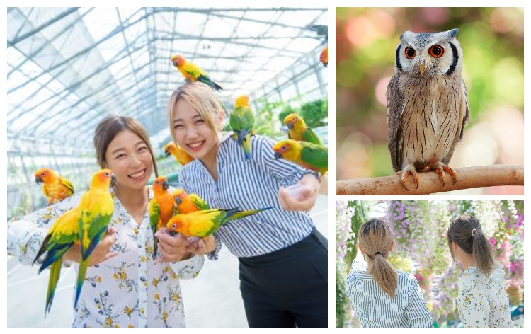 掛川花鳥園（イメージ）