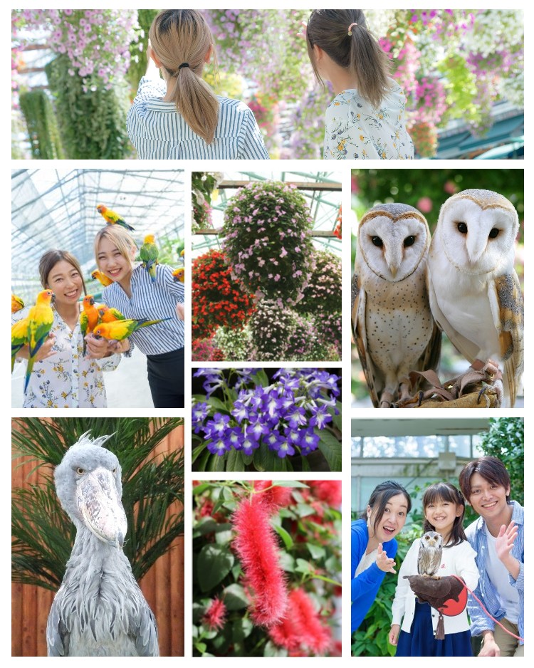 掛川花鳥園（イメージ）