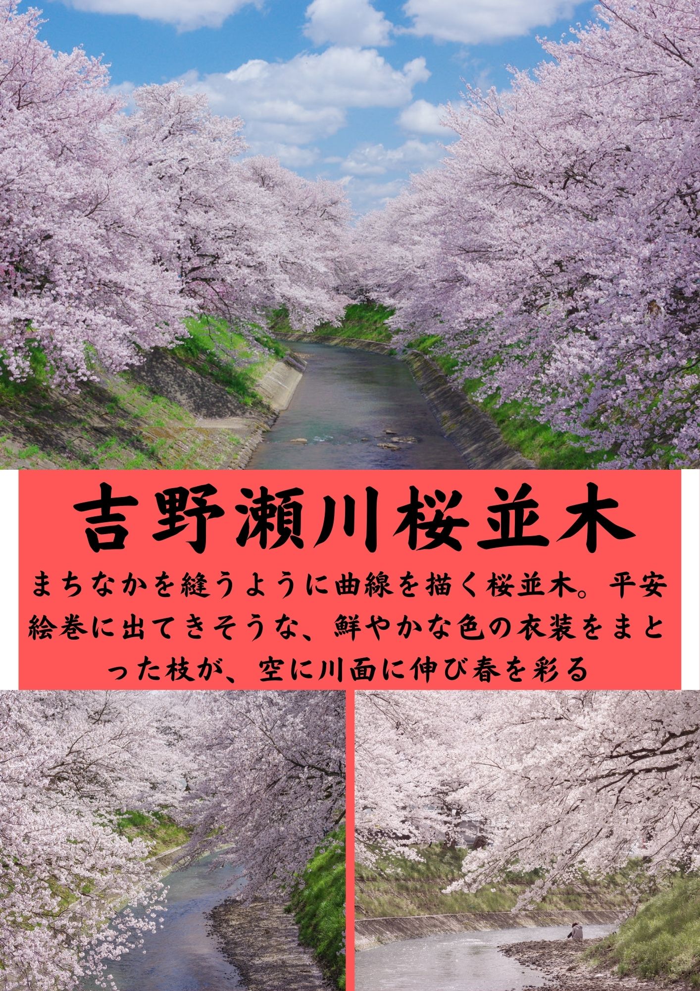 吉野瀬川桜並木(イメージ)