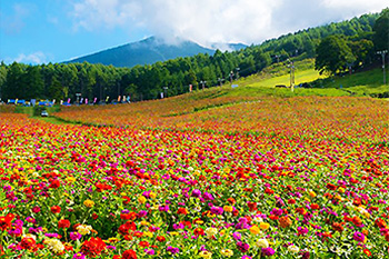 富士見高原リゾート・花の里（イメージ）