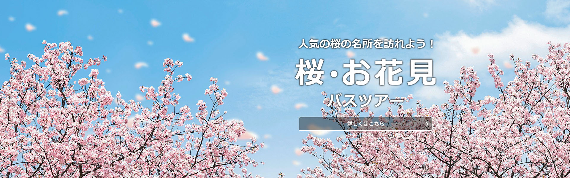 桜・お花見バスツアー特集