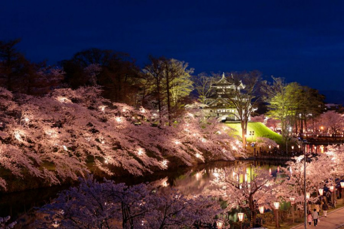 高田城公園夜桜(イメージ)