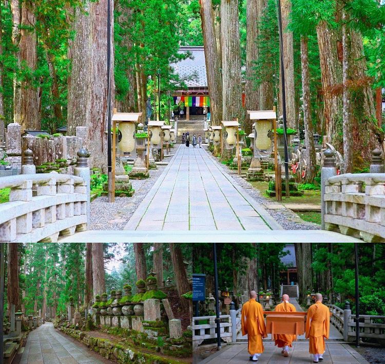 化粧台・トイレ付！足元ゆったり特別仕様車利用＞☆弘法大師生誕1250年記念☆専門ガイドと巡る「高野山 奥の院」＆高野山名物を使ったボリューム満点の昼食！天空のパワースポット  世界遺産「高野山」めぐり | 格安ベストワンバスツアー