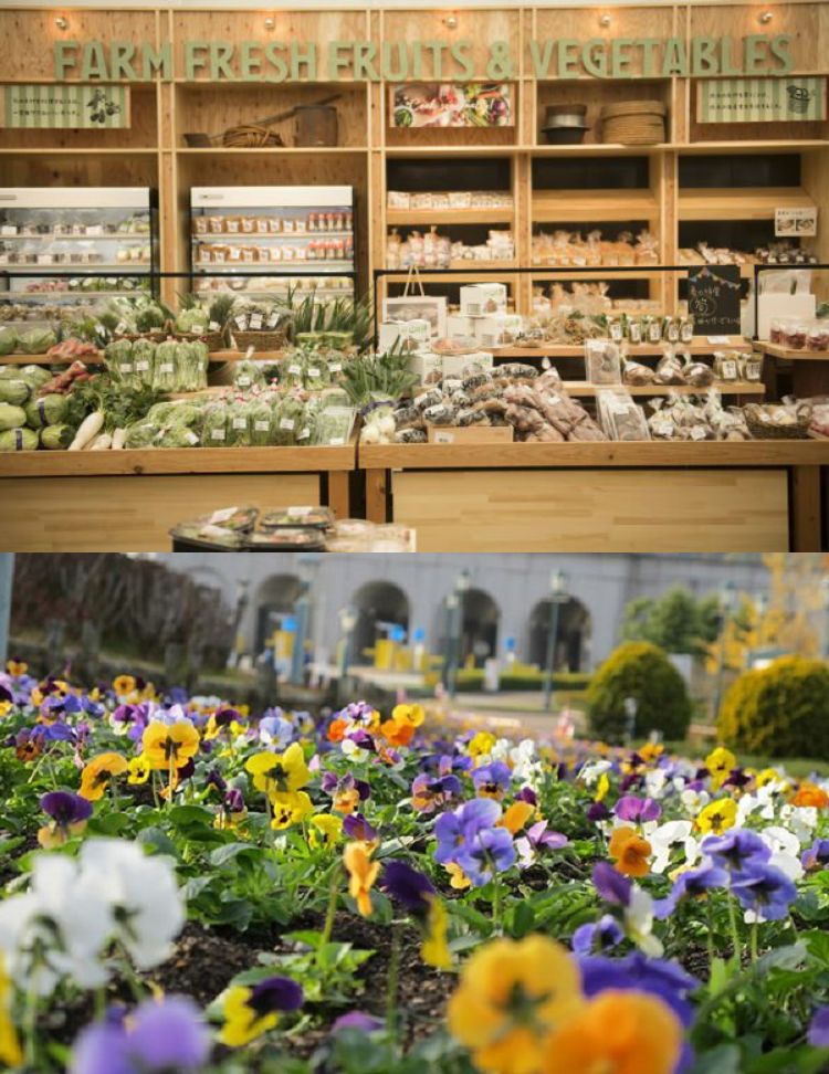 FARM CIRCUSマーケット（イメージ）,季節の花（イメージ）