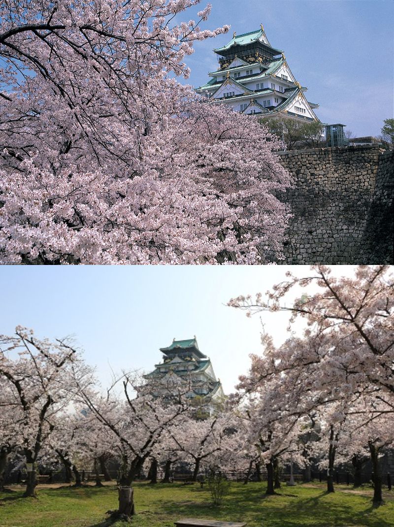 上：大阪城公園、下：大阪城西の丸庭園　©(公財)大阪観光局