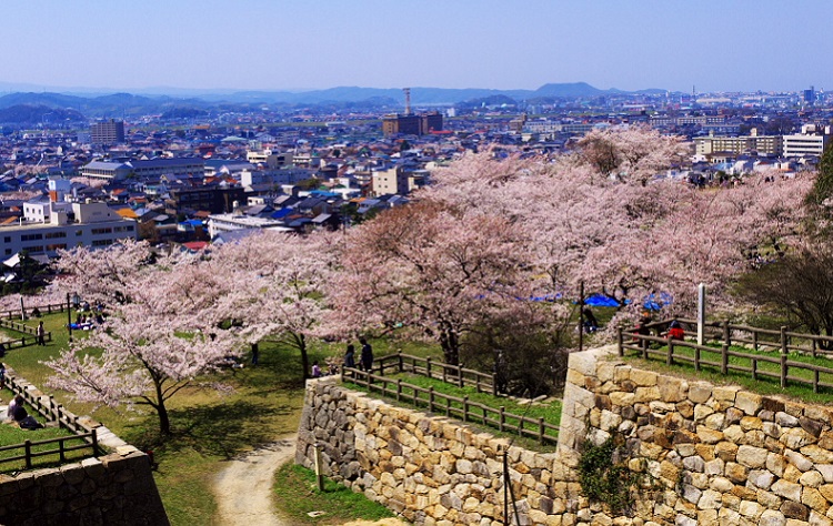 鳥取城跡（イメージ）©鳥取県