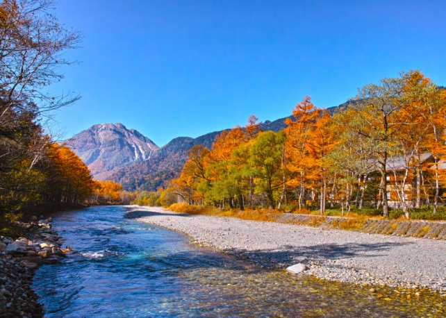 上高地・大正池（イメージ）