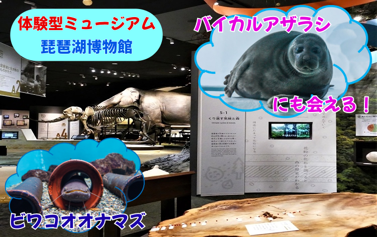 滋賀県立琵琶湖博物館（イメージ）（公社）びわこビジターズビューロー
