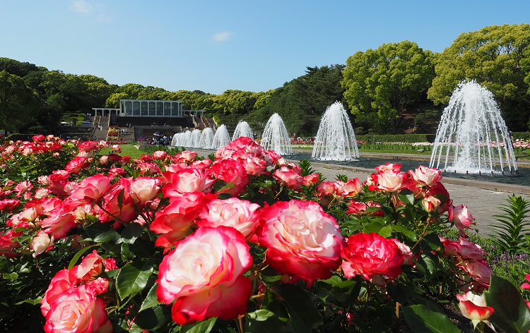 須磨離宮公園（5月頃イメージ）©一般財団法人神戸観光局