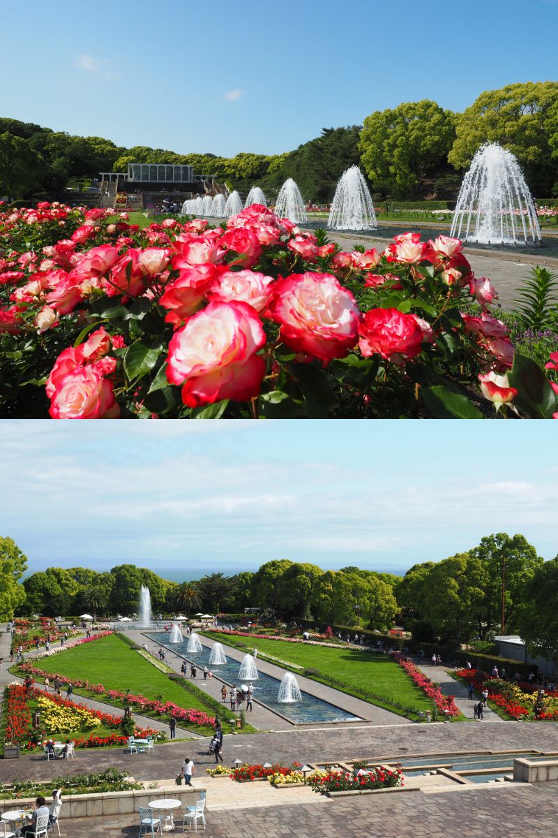 須磨離宮公園（イメージ）