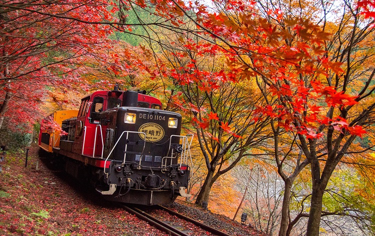 嵯峨野トロッコ列車（イメージ）