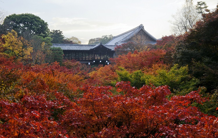 大本山 東福寺（イメージ）