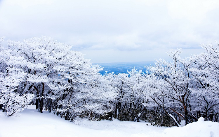 御在所ロープウェイ雪景色