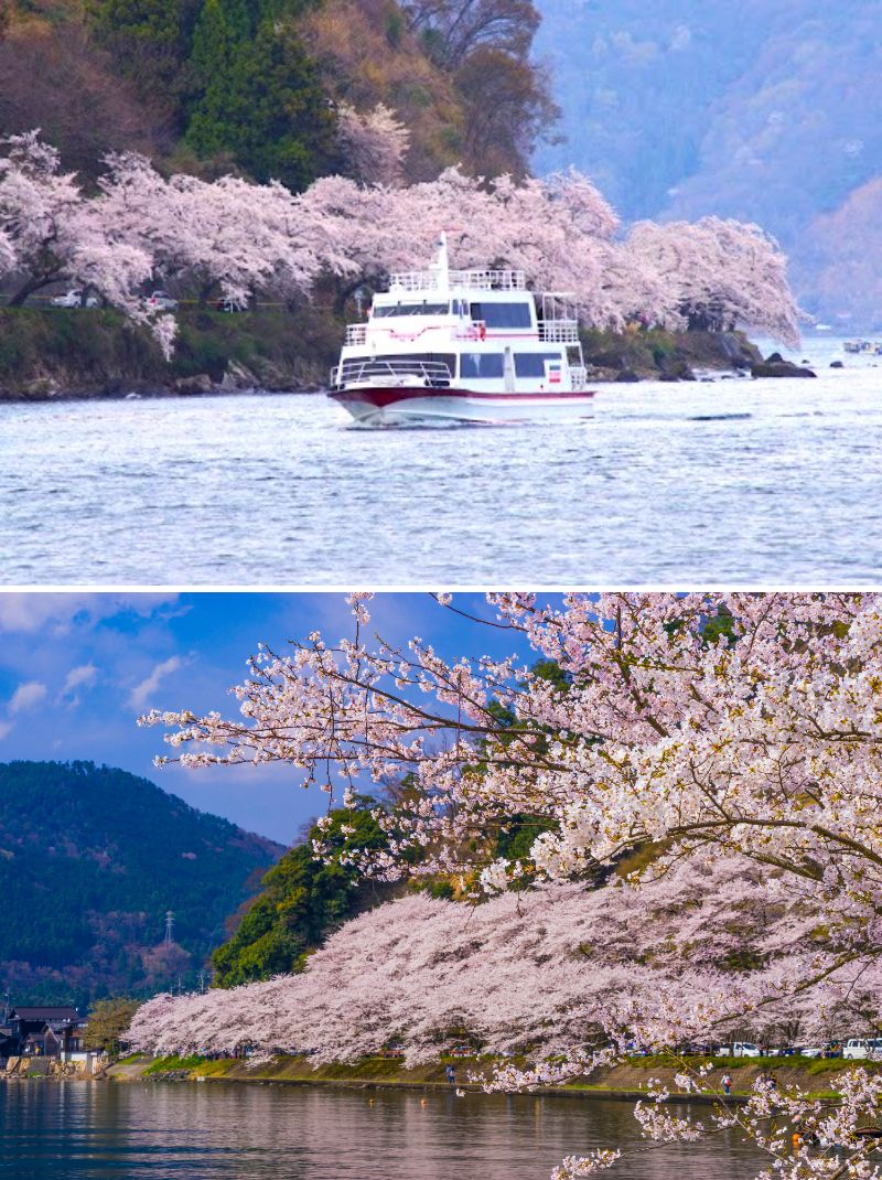 海津大崎クルーズ/湖上からみた海津大崎（イメージ）