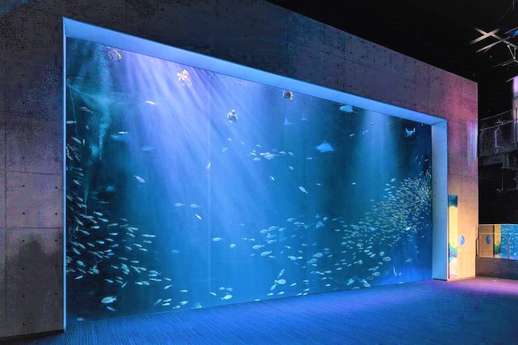 四国水族館イメージ　©四国水族館