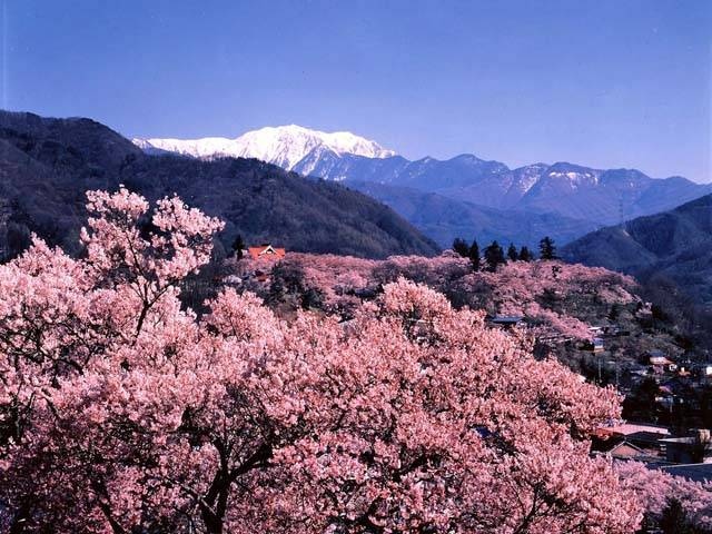 高遠城址公園（イメージ）