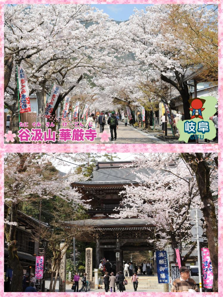 上：谷汲山華厳寺参道（イメージ）下：谷汲山華厳寺山門（イメージ）