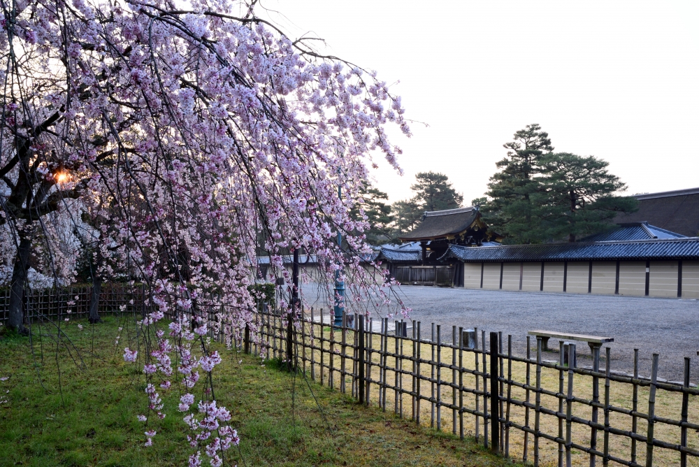 京都御苑（イメージ）