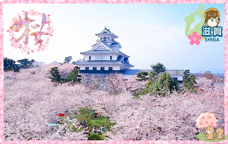 長浜・豊公園（イメージ）